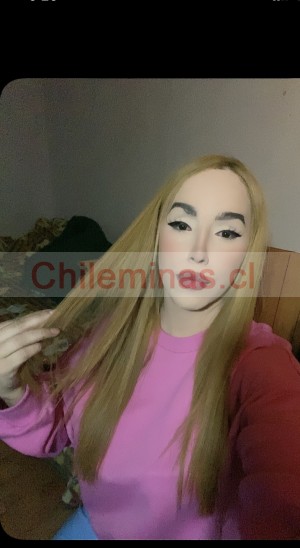 Paola castillo Damas de compa&ntilde;ia en Chile, escort o acompa&ntilde;antes femeninas en Independencia |  Paola castillo venezolana en chile no dudes en llamarme , Ven a cumplir tus fantasías conmigo no dudes en llamarme 
