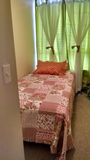 Milena Damas de compa&ntilde;ia en Chile, escort o acompa&ntilde;antes femeninas en Santiago |  569 53578326 tengo habitaciones para escort metro universidad de chile, Pago diario