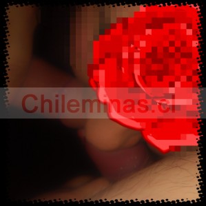 Marcela la leona Damas de compa&ntilde;ia en Chile, escort o acompa&ntilde;antes femeninas en Santiago |  Hola amor hoy estaré disponible servicio completo anal y américnana real incluid, Ful promos ven ala segura con la leona diosa de garganta profunda 
