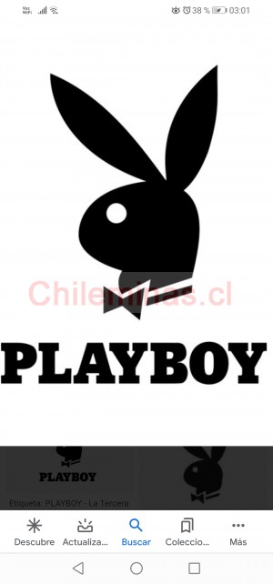 Felipe Damas de compa&ntilde;ia en Chile, escort o acompa&ntilde;antes femeninas en Santiago |  Chicas para privado excelente nivel buena presencia pago diario, Chicas guapas buen nivel excelente presencia pago diario 